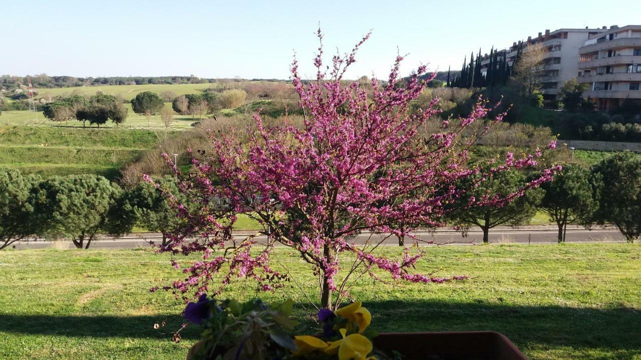 B&B Colline verdi Vitinia Exterior foto